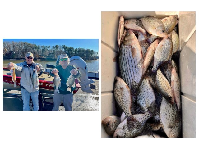 20+ Fishing Report Lake Hartwell