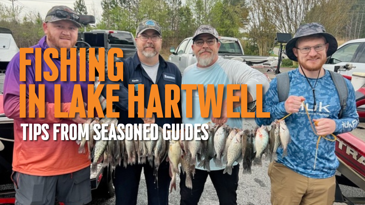 Explore Lake Hartwell: Expert Fishing Tips & Prime Locations in GA ...