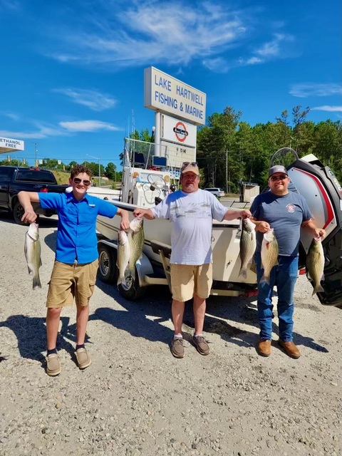 Lake Hartwell fishing